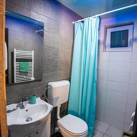 Guest house Pensiunea Lainer *