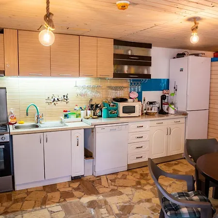 Guest house Pensiunea Lainer