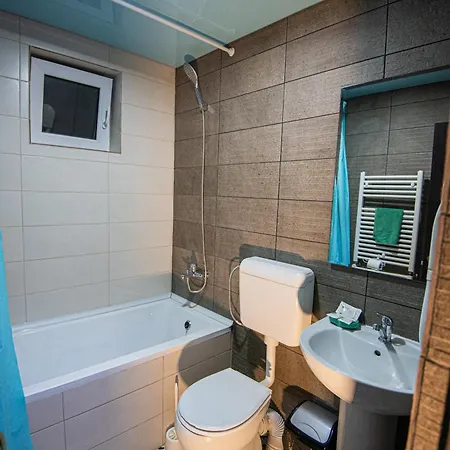 Pensiunea Lainer Guest house *