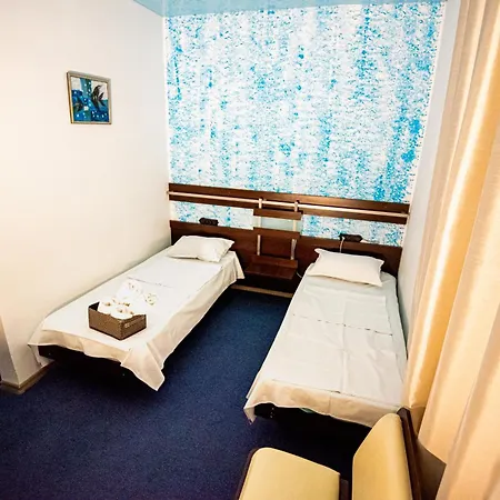 Guest house Pensiunea Lainer