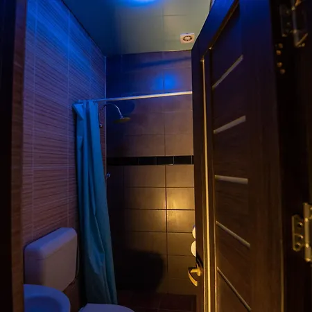 Pensiunea Lainer Guest house *