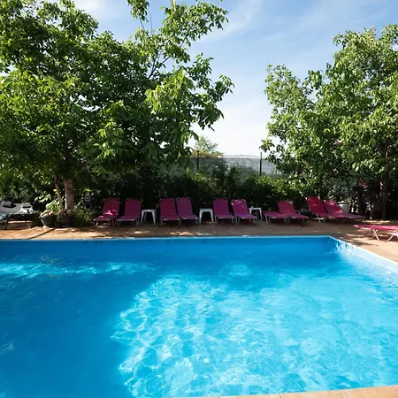 Guest house Pensiunea Lainer