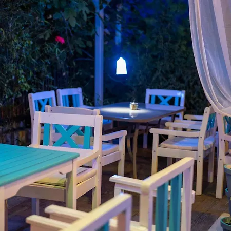 Pensiunea Lainer Guest house