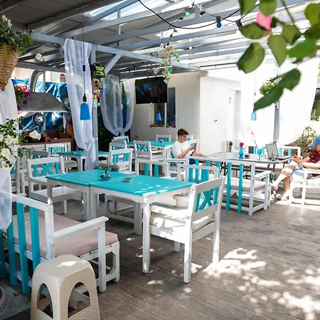 Guest house Pensiunea Lainer *