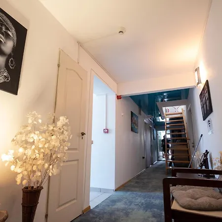 Pensiunea Lainer Lumina