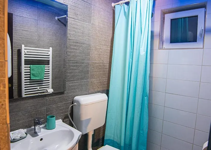 Guest house Pensiunea Lainer 3*