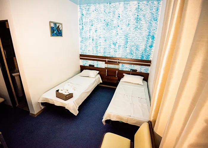 Guest house Pensiunea Lainer